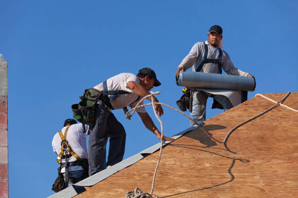 Best Best Roofing Contractors  in Mascotte, FL