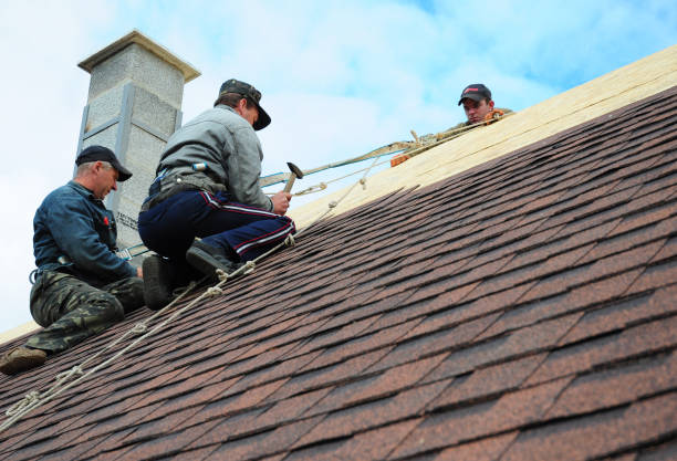 Gutter Installation and Roofing in Mascotte, FL