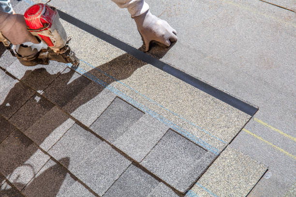 Best Flat Roof Repair Services  in Mascotte, FL