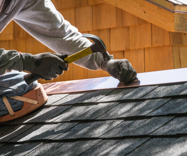 Best Roof Repair Services  in Mascotte, FL